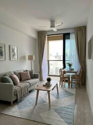 Irwell Hill Residences (D9), Apartment #533385681